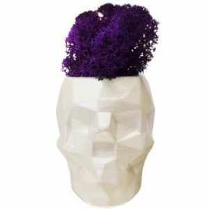 Кашпо со стабилизированным мхом De Garny Череп Фиолетовый 6