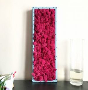 Картина из стабилизированного мха De Garny Микс 15х45 см.