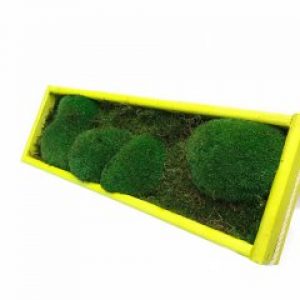 Картина из стабилизированного мха De Garny Микс Зеленый 15х45 см.