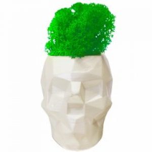 Кашпо со стабилизированным мхом De Garny Череп Белый перламутр 400 гр.