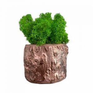 Кашпо из дерева со стабилизированным мхом De Garny Золотой 6-9 см 400 гр.