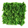Гибкая панель из мха De Garny Зеленый 30х30 см