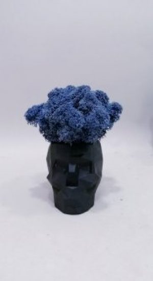 Стабілізований мох Череп синій Kora_Bog в бетонному кашпо ручної роботи М-26