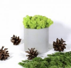 Бетонный кашпо из мха зеленый