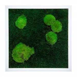 Картина из мха и дерева