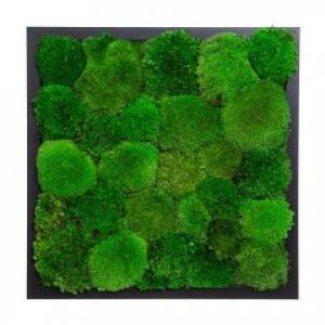 Картина из кочкового мха зеленый