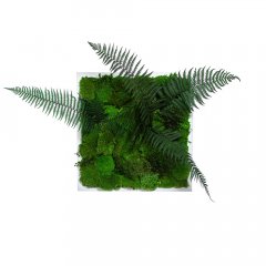 Картина с мохом и растениями зеленый