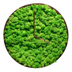 Часы из мха в деревянной раме зеленый
