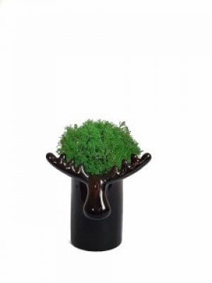 Стабилизированный мох вазон Reindeer Moss b/222/01/850/10 черный темный зеленый