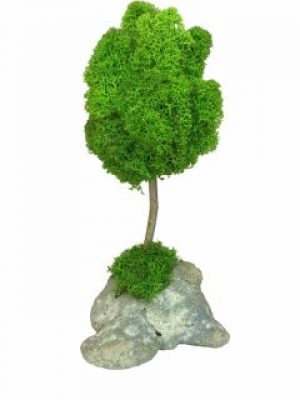 Стабилизированный мох дерево Reindeer Moss b/51/05/500/18 зеленый