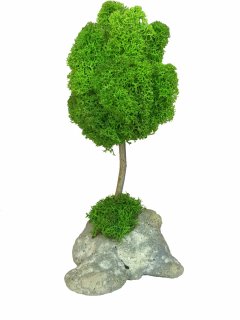 Стабилизированный мох дерево Reindeer Moss b/51/05/500/18 зеленый