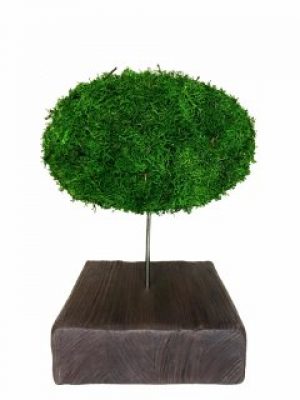 Стабилизированный мох дерево Reindeer Moss b/39/07/500/23 зеленый