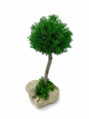 Стабилизированный мох дерево Reindeer Moss b/31/05/500/17 зеленый