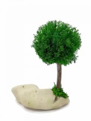 Стабилизированный мох дерево Reindeer Moss b/31/05/500/16 темно зеленый