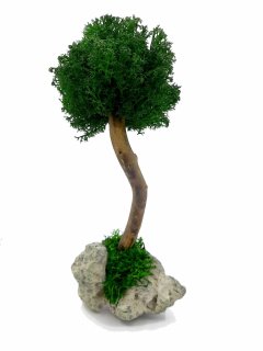 Стабилизированный мох дерево Reindeer Moss b/31/05/500/22 зеленый