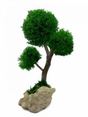 Стабилизированный мох дерево Reindeer Moss b/33/05/500/24 зеленый