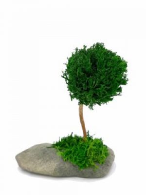 Стабилизированный мох дерево Reindeer Moss b/31/05/500/16 зеленый