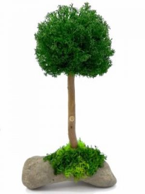 Стабилизированный мох дерево Reindeer Moss b/31/05/500/24 зеленый