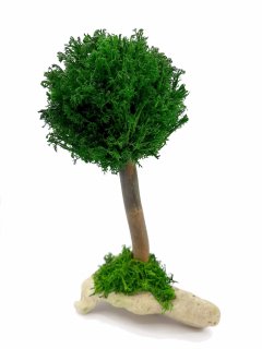 Стабилизированный мох дерево Reindeer Moss b/31/05/500/21 зеленый