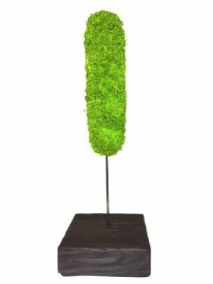 Стабилизированный мох дерево Reindeer Moss b/39/07/500/43 зеленый