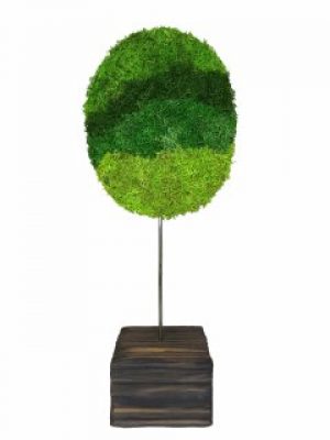 Стабилизированный мох дерево Reindeer Moss b/39/07/500/38 зеленый