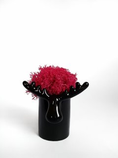 Стабилизированный мох вазон Reindeer Moss b/222/01/850/10 черный розовый