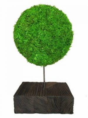 Стабилизированный мох дерево Reindeer Moss b/39/07/500/27 зеленый