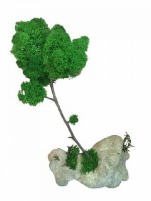 Стабилизированный мох дерево Reindeer Moss b/51/05/500/28 зеленый