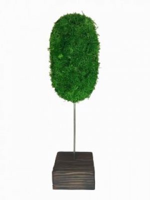 Стабилизированный мох дерево Reindeer Moss b/39/07/500/40 зеленый