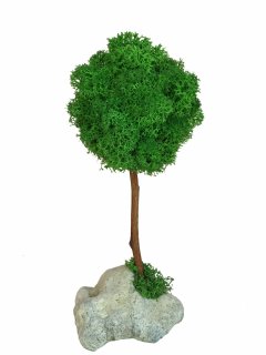 Стабилизированный мох дерево Reindeer Moss b/51/05/500/20 темный зеленый