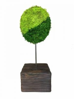 Стабилизированный мох дерево Reindeer Moss b/39/07/500/28 зеленый