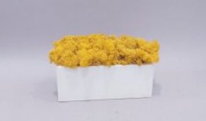 Стабилизированный мох ягель желтый деревянном кашпо ручной работы 20 см