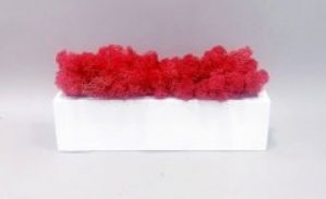 Стабилизированный мох красный деревянном кашпо ручной работы 30 см