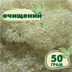 Очищенный стабилизированный мох ягель Nordic moss Натуральный белый 50 грамм