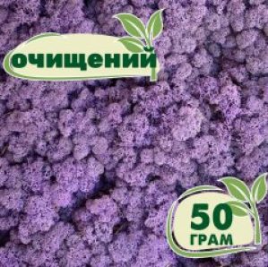 Очищенный стабилизированный мох ягель Nordic moss Эрика 50 грамм