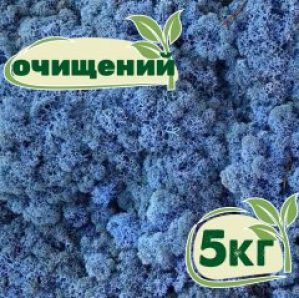 Очищенный стабилизированный мох ягель Nordic moss Лавандовый 5 кг