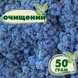 Очищенный стабилизированный мох ягель Nordic moss Лавандовый 50 грамм