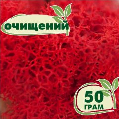Очищенный стабилизированный мох ягель Nordic moss Красный 50 грамм