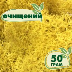 Очищенный стабилизированный мох ягель Nordic moss Желтый классический 50 грамм