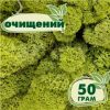 Очищенный стабилизированный мох ягель Nordic moss Зеленый светлый 50 грамм