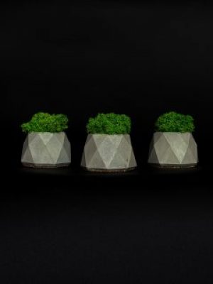 Набор из 3-х бетонных кашпо со стабилизированным мхом "Little Kashpo Gray"