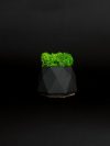 Кашпо со стабилизированным мхом "Little Kashpo Black"
