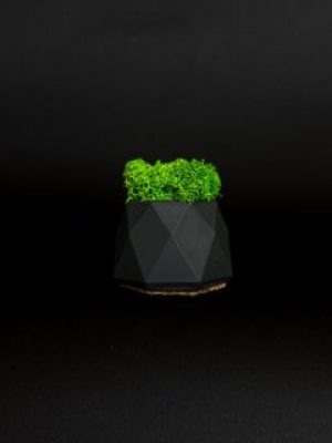 Кашпо со стабилизированным мхом "Little Kashpo Black"