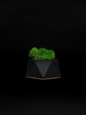 Кашпо со стабилизированным мхом "Little Kashpo 3 Black"