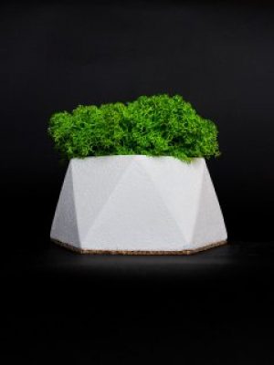 Кашпо со стабилизированным мхом "PIFI White"