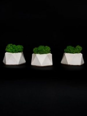 Набор из 3-х кашпо со стабилизированным мхом "Little Kashpo 3 White"