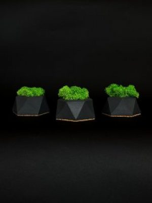 Набор из 3-х кашпо со стабилизированным мхом "Little Kashpo 3 Black"