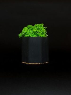 Кашпо со стабилизированным мхом "Little Kashpo 4 Black"