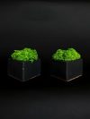 Набор из 2-х кашпо со стабилизированным мхом "Pifagor Black"