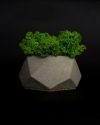 Бетонное кашпо со стабилизированным мхом "LotGran Gray"